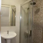 El Yunque- Solo Familias