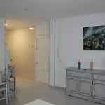 El Yunque- Solo Familias *